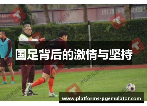 国足背后的激情与坚持