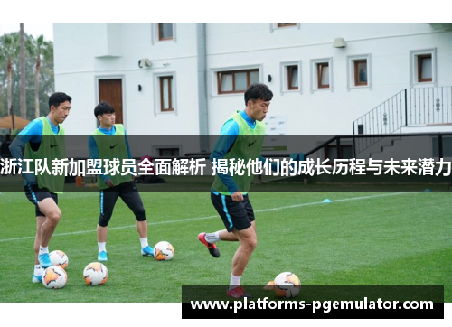 浙江队新加盟球员全面解析 揭秘他们的成长历程与未来潜力