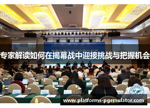 专家解读如何在揭幕战中迎接挑战与把握机会