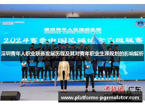 深圳青年人职业联赛发展历程及其对青年职业生涯规划的影响解析