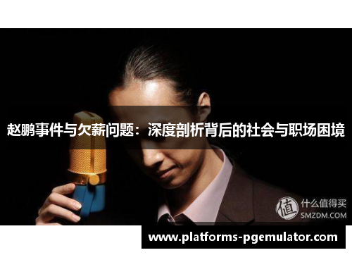 赵鹏事件与欠薪问题：深度剖析背后的社会与职场困境