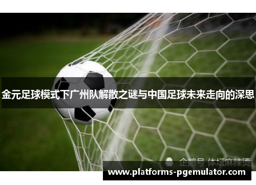 金元足球模式下广州队解散之谜与中国足球未来走向的深思