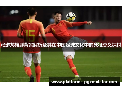 张琳芃族群背景解析及其在中国足球文化中的象征意义探讨