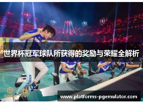世界杯冠军球队所获得的奖励与荣耀全解析