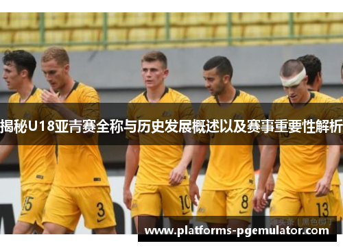 揭秘U18亚青赛全称与历史发展概述以及赛事重要性解析