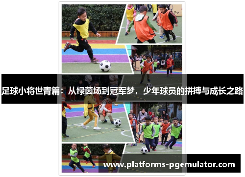 足球小将世青篇：从绿茵场到冠军梦，少年球员的拼搏与成长之路