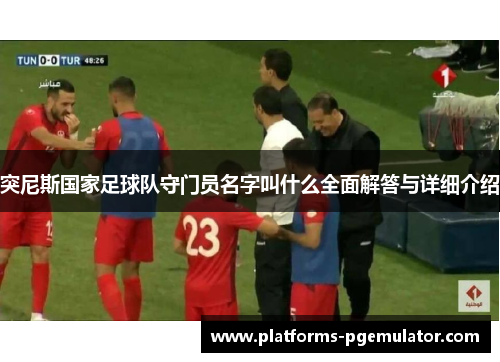 突尼斯国家足球队守门员名字叫什么全面解答与详细介绍