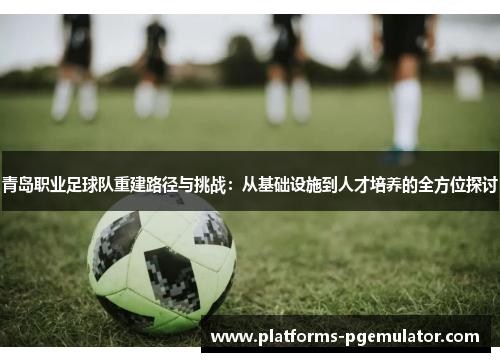 青岛职业足球队重建路径与挑战：从基础设施到人才培养的全方位探讨
