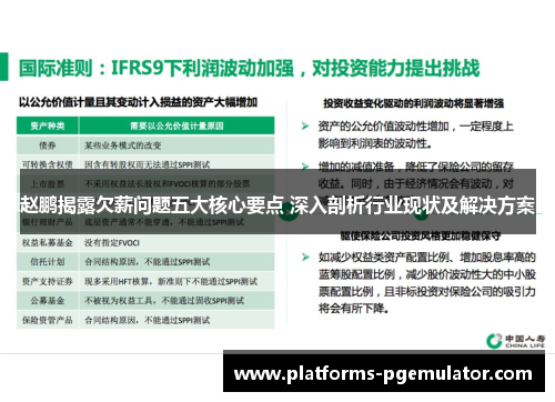 赵鹏揭露欠薪问题五大核心要点 深入剖析行业现状及解决方案