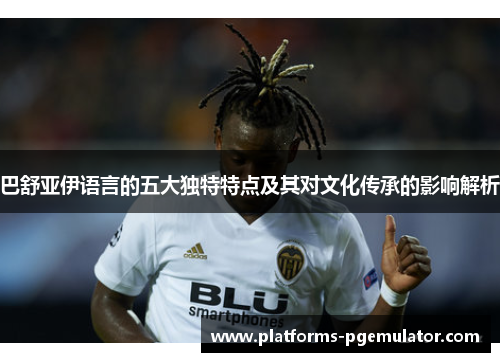 巴舒亚伊语言的五大独特特点及其对文化传承的影响解析