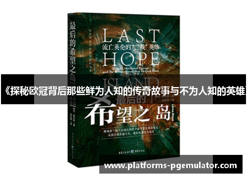 《探秘欧冠背后那些鲜为人知的传奇故事与不为人知的英雄》