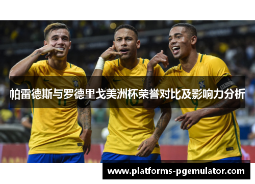 帕雷德斯与罗德里戈美洲杯荣誉对比及影响力分析