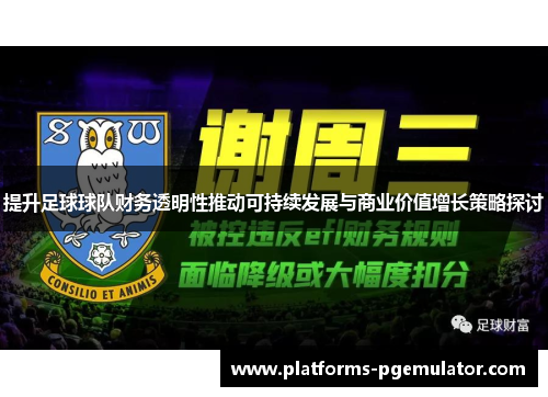 提升足球球队财务透明性推动可持续发展与商业价值增长策略探讨