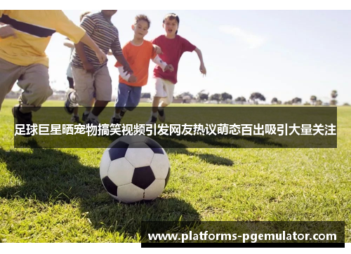 足球巨星晒宠物搞笑视频引发网友热议萌态百出吸引大量关注