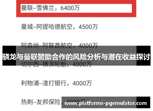 骁龙与曼联赞助合作的风险分析与潜在收益探讨